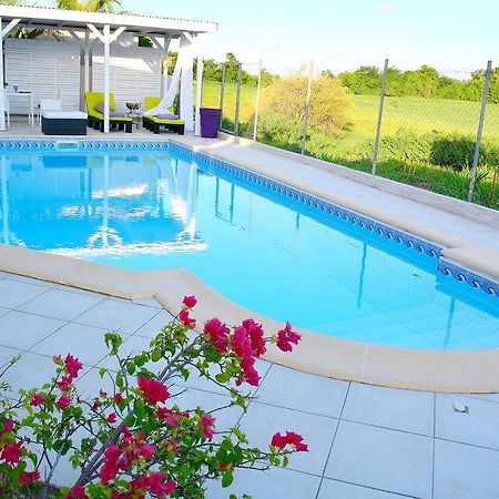 Villa Amethyste Avec Grande Piscine Privee, Jardin Clos, Parking Prive Le Robert Exterior foto